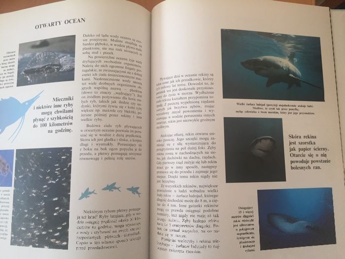 Życie oceanu. Ryby-wielka encyklopedia zwierząt. Dwie książki.