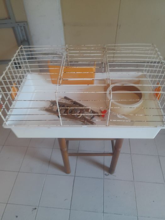 Gaiola para coelho de estimação.