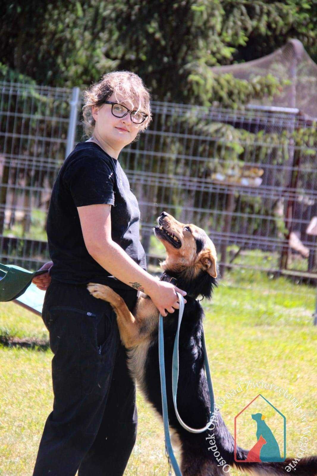 UROCZY, DELIKATNY - uroda owczarka ale mniejszy - b. uczuciowy ADOPTUJ
