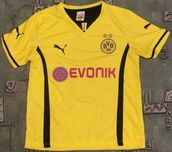 Футболка Marco Reus №11 Dortmund