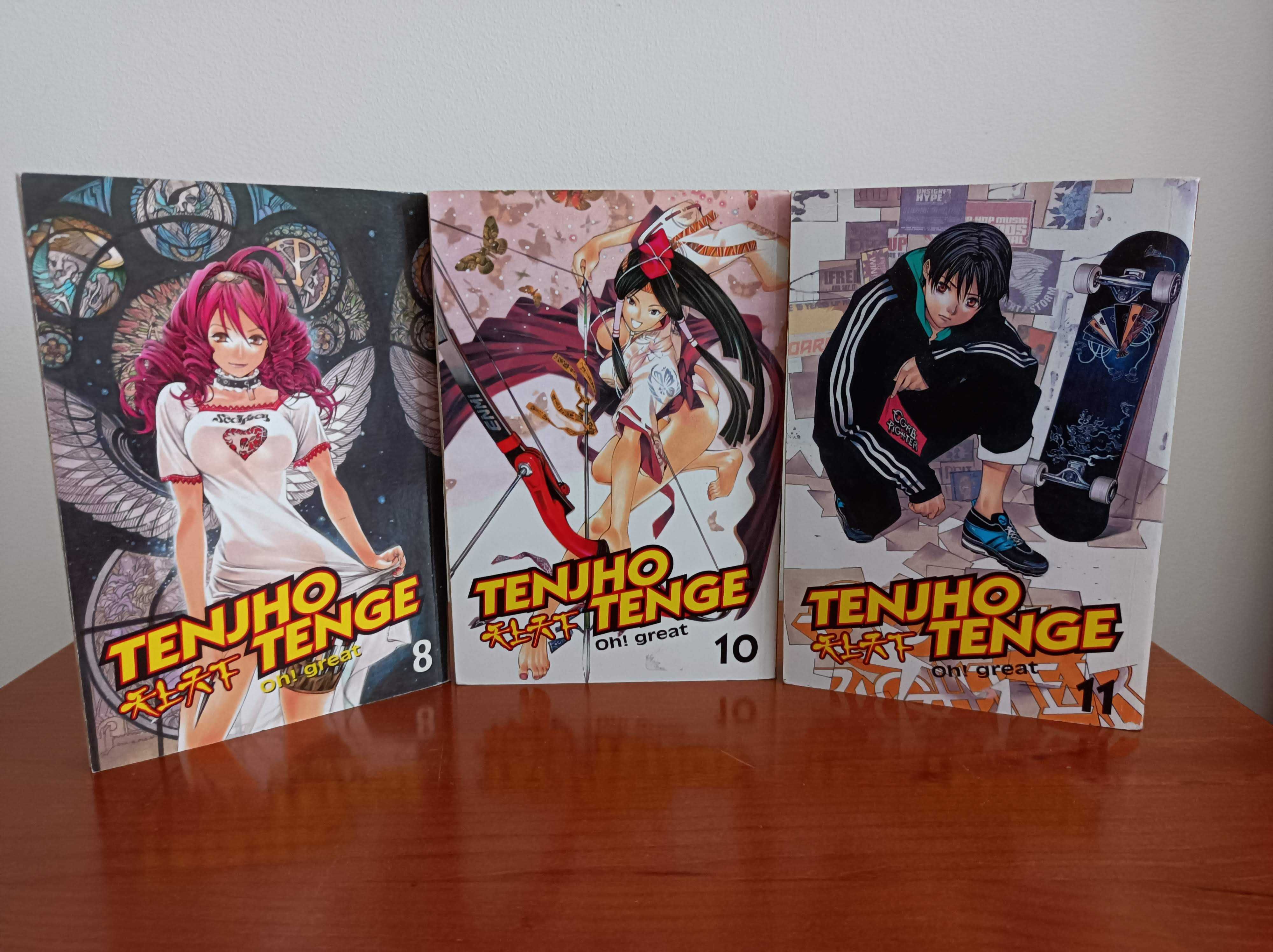 Manga Tenjou Tenge (12 vols)(Inglês)