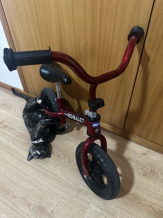 Primeira Bicicleta chicco sem pedais