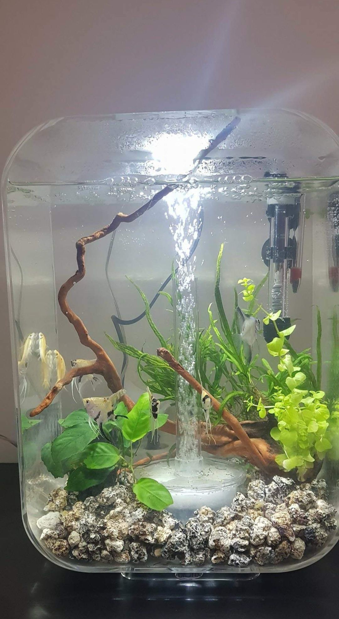 Aquário biorb 15 litros