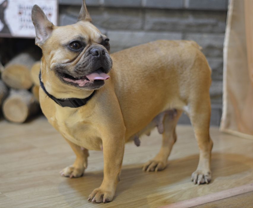 Найдобріша дівчинка