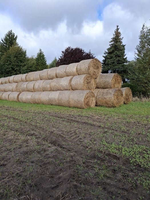 Sprzedam słoma siano sianokiszonka