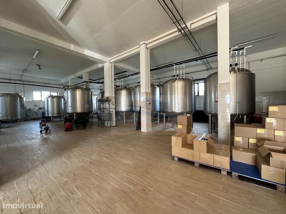 Única e exclusiva fábrica de cerveja nova a estrear em Mafra