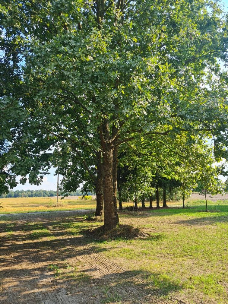 Sprzedam działkę budowlaną 1500m2