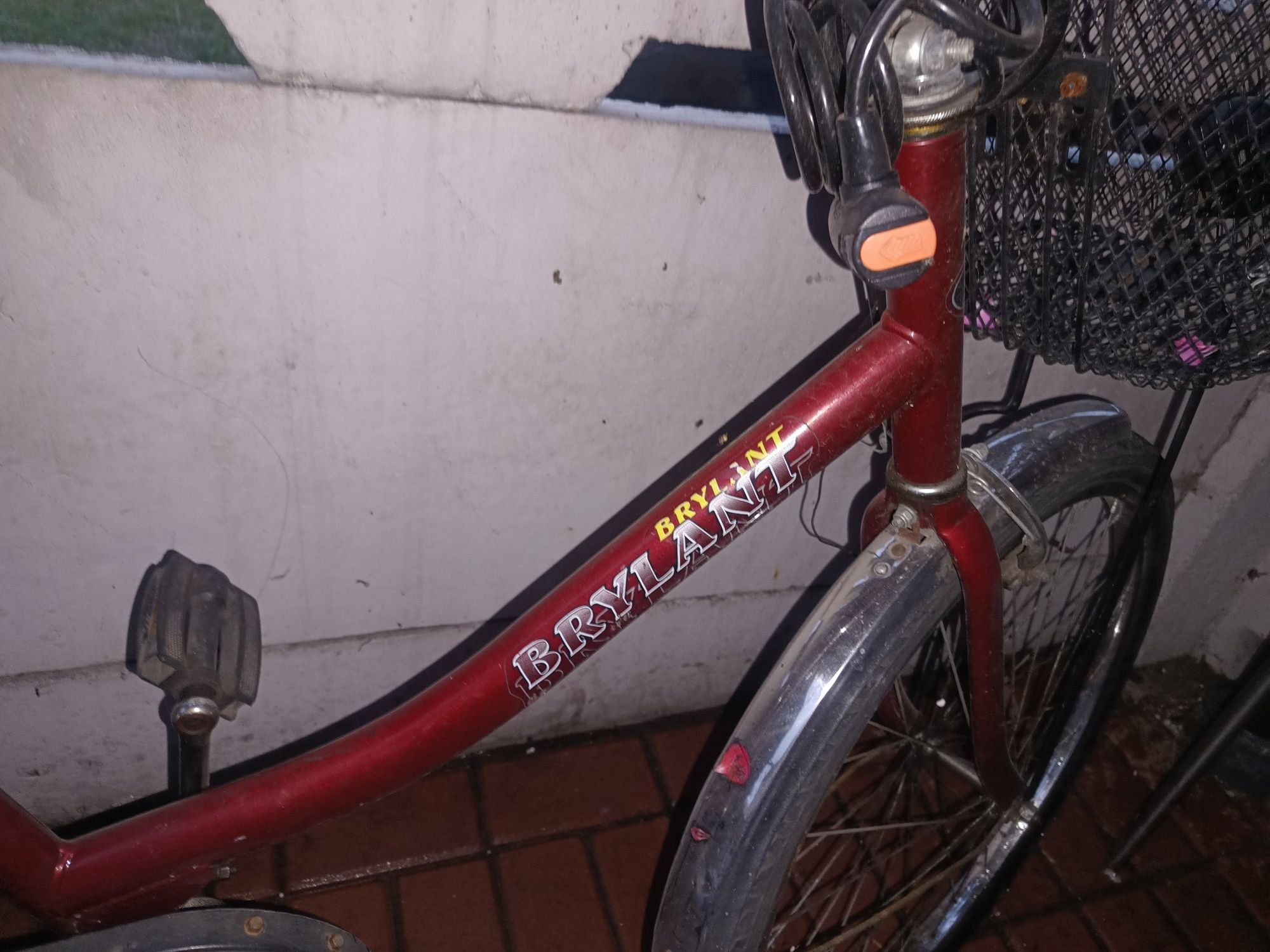 Rower Brylant 24''