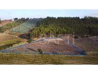 Terreno Rustico