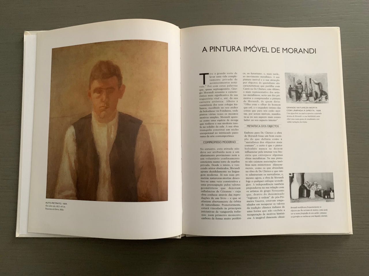 Grandes pintores do século XX - Giorgio Morandi