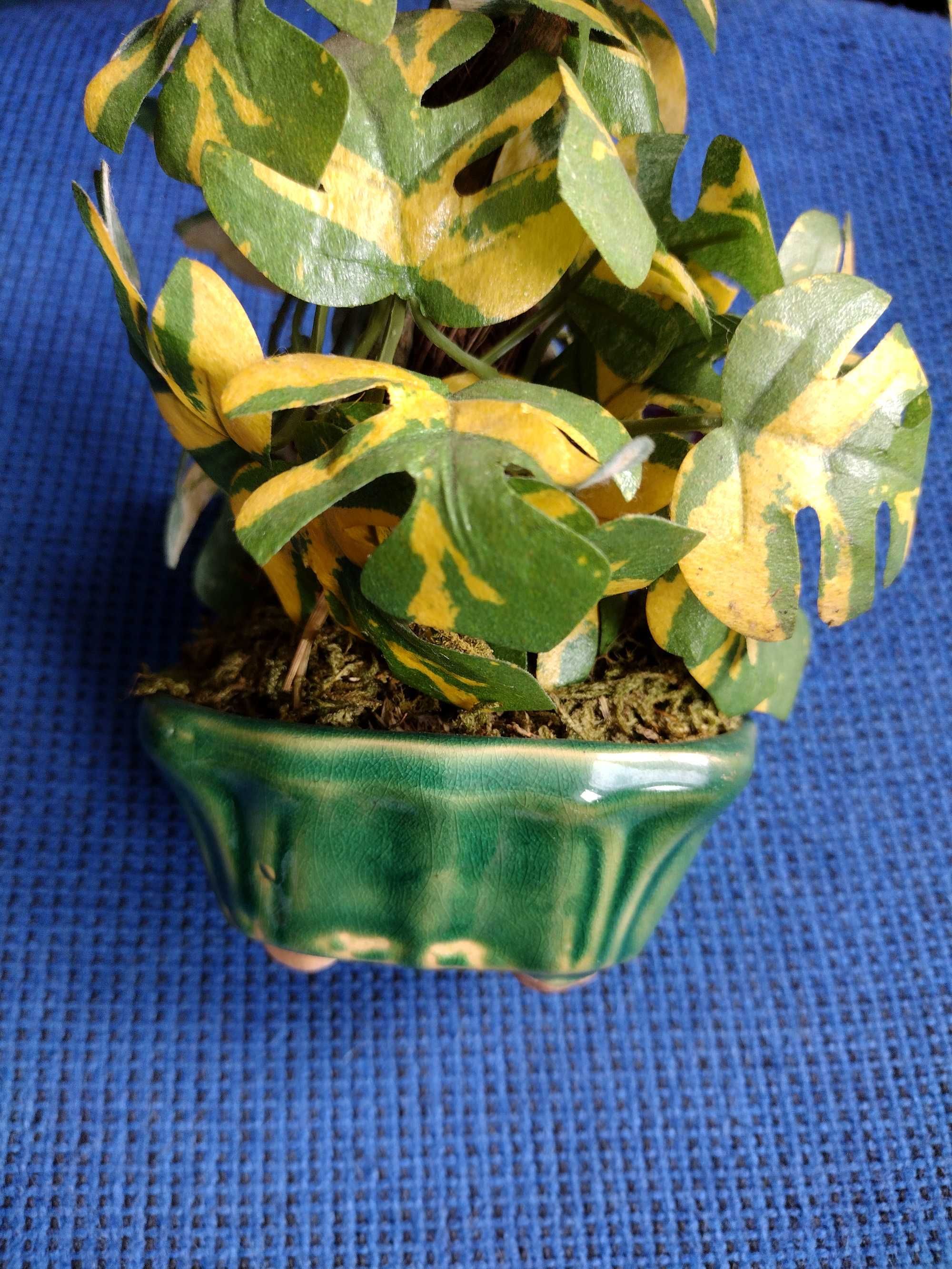 Stroik zielono-żółte liście