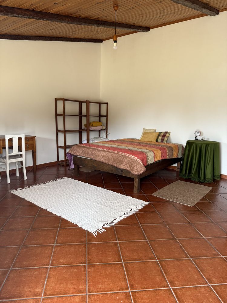 Quinta no Centro de Mira com 10.000 m² – Oportunidade Única!