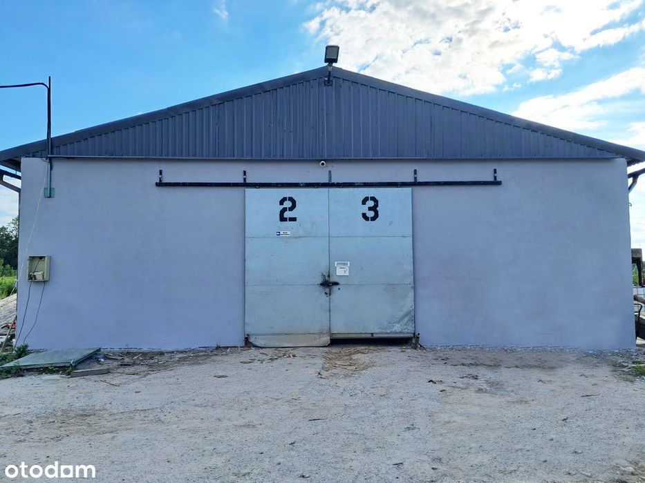 Hala - autodetailing, lakiernia, warsztat samochodowy, blacharski