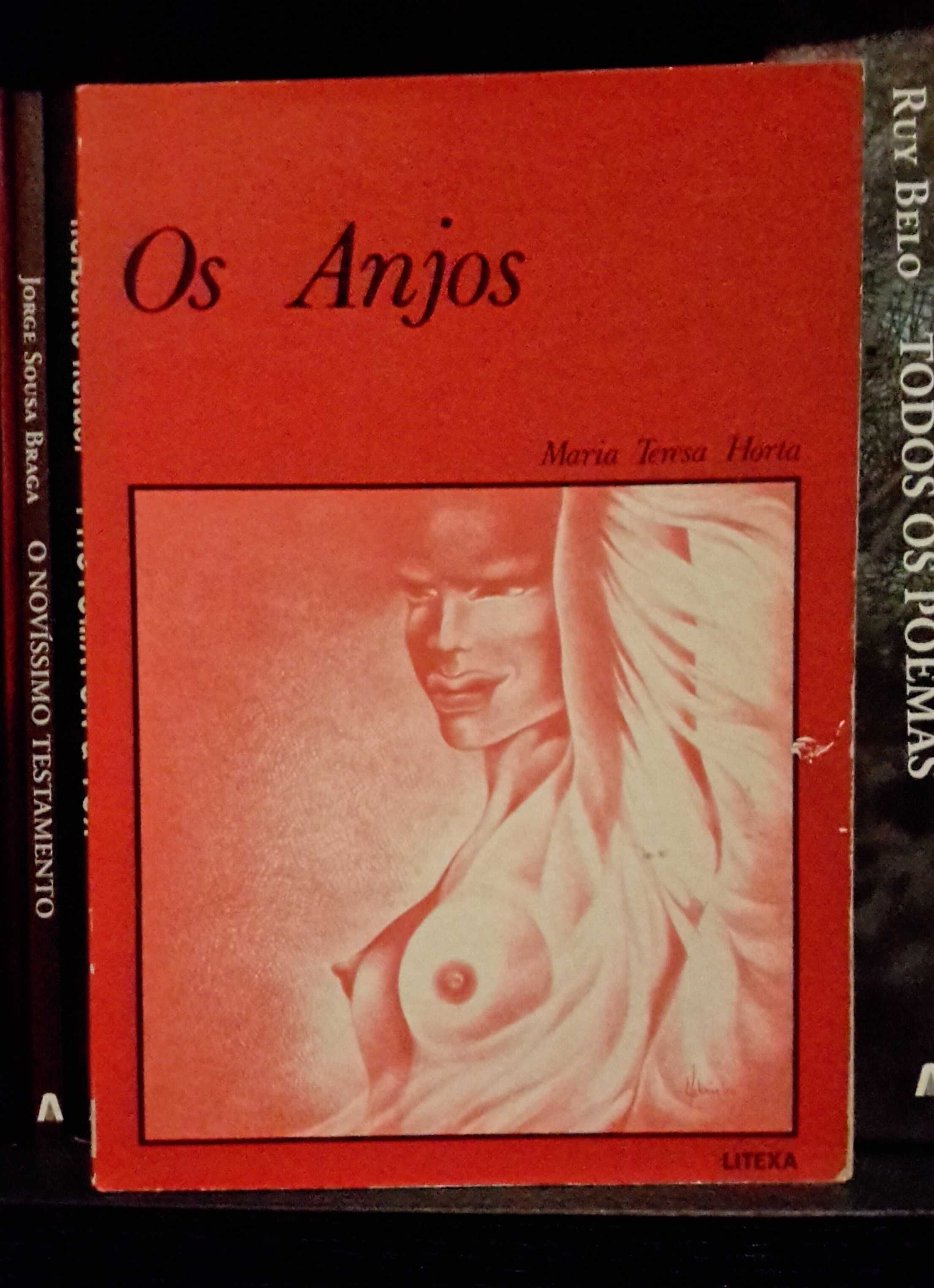 Maria Teresa Horta - Os Anjos (1.ª edição)