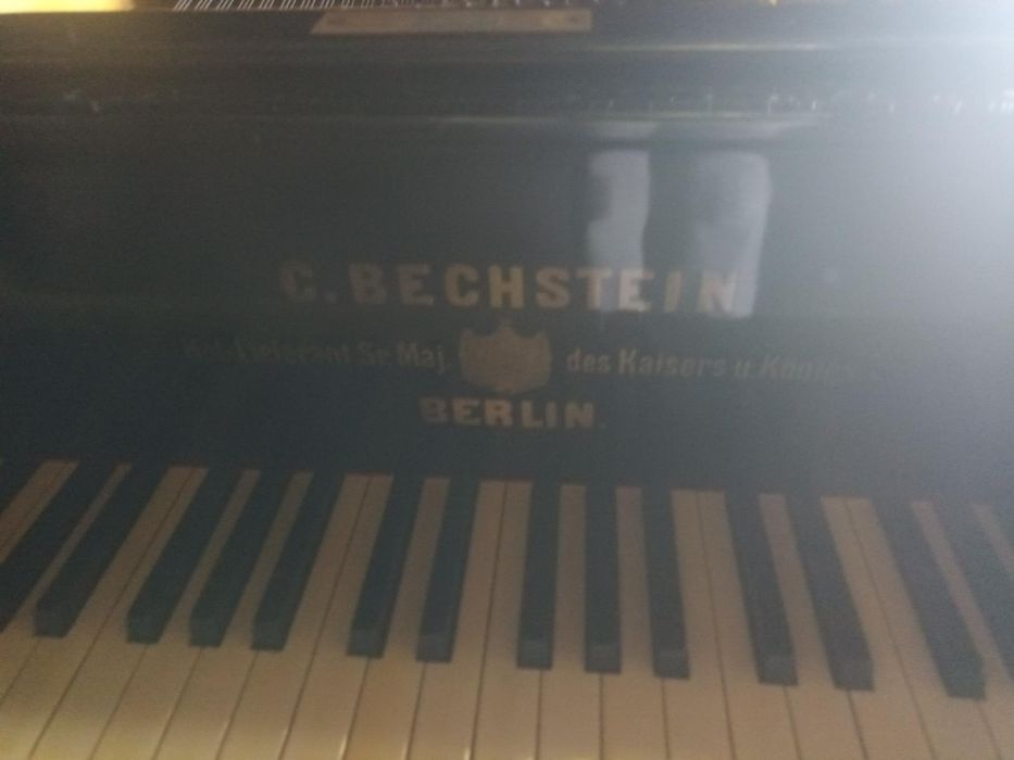 Piano de Cauda Bechstein