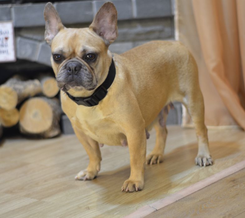 Найдобріша дівчинка