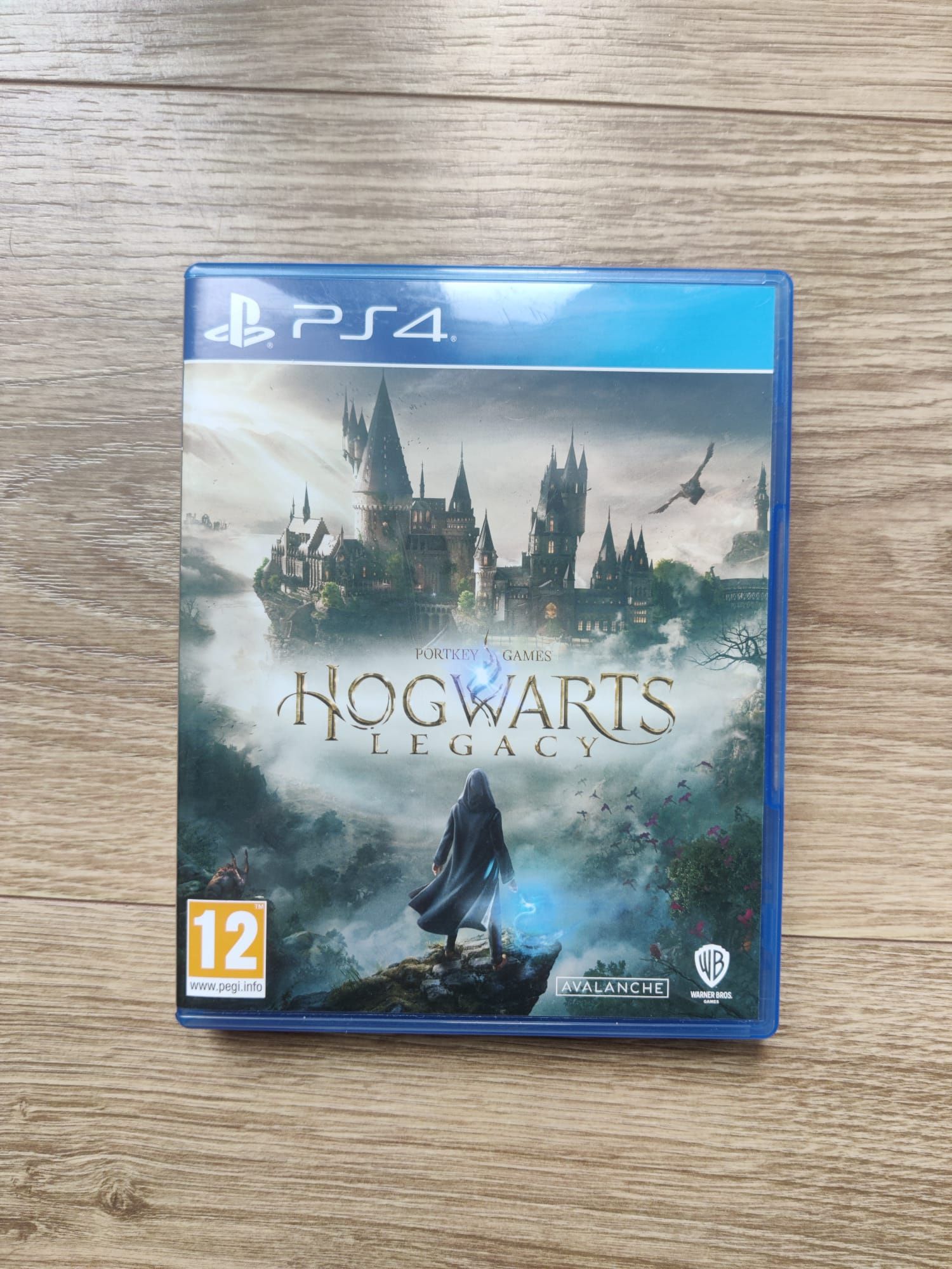 Gra Hogwarts Legacy PS4 plus kody DLC