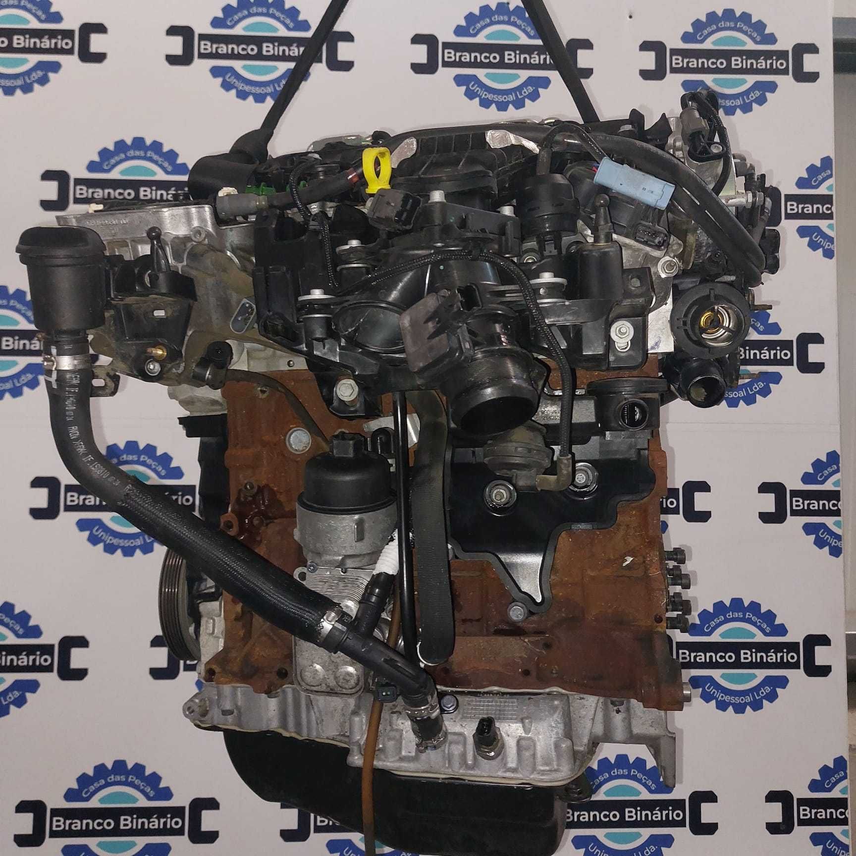 Motor Peugeot/Citroen 2.0 HDI