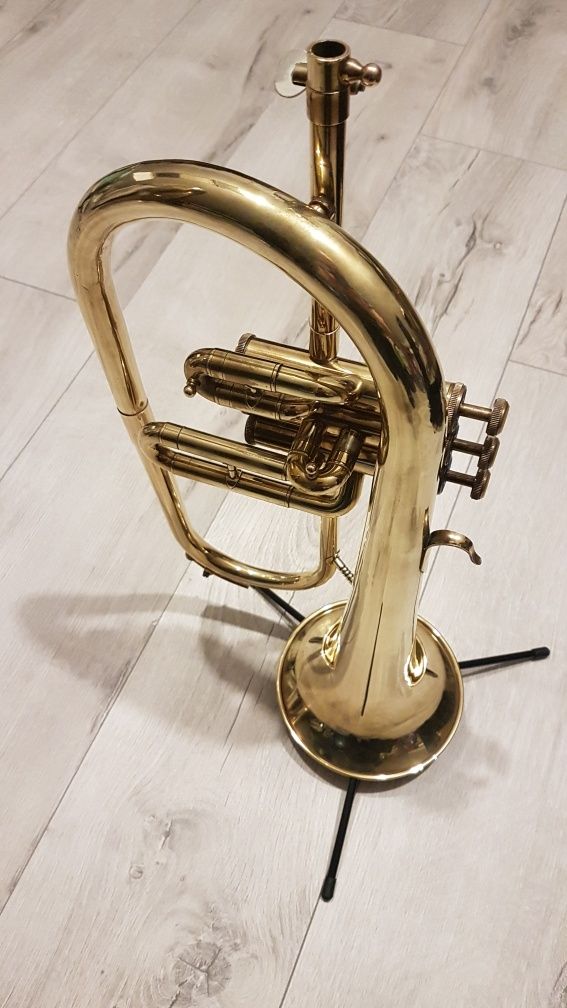 Flugelhorn Polmuz