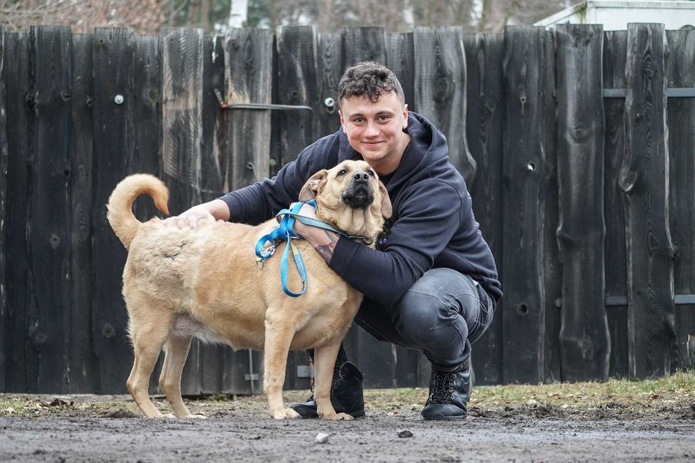 Kenta - super pozytywna sunia szuka domu