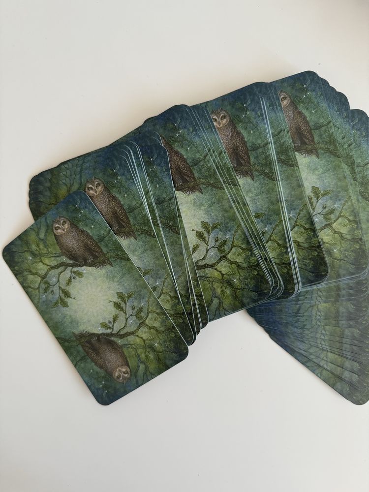 Karty Tarot Zaczarowanego Lasu Forester of Entchantment