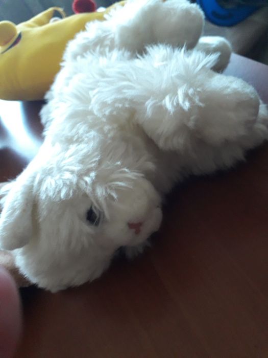 Vários peluches - cães, gato e lua