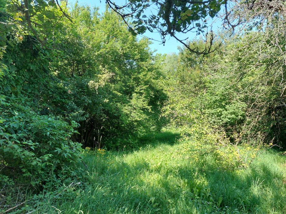 Продам шикарный 2-х этажный дом в живописном месте