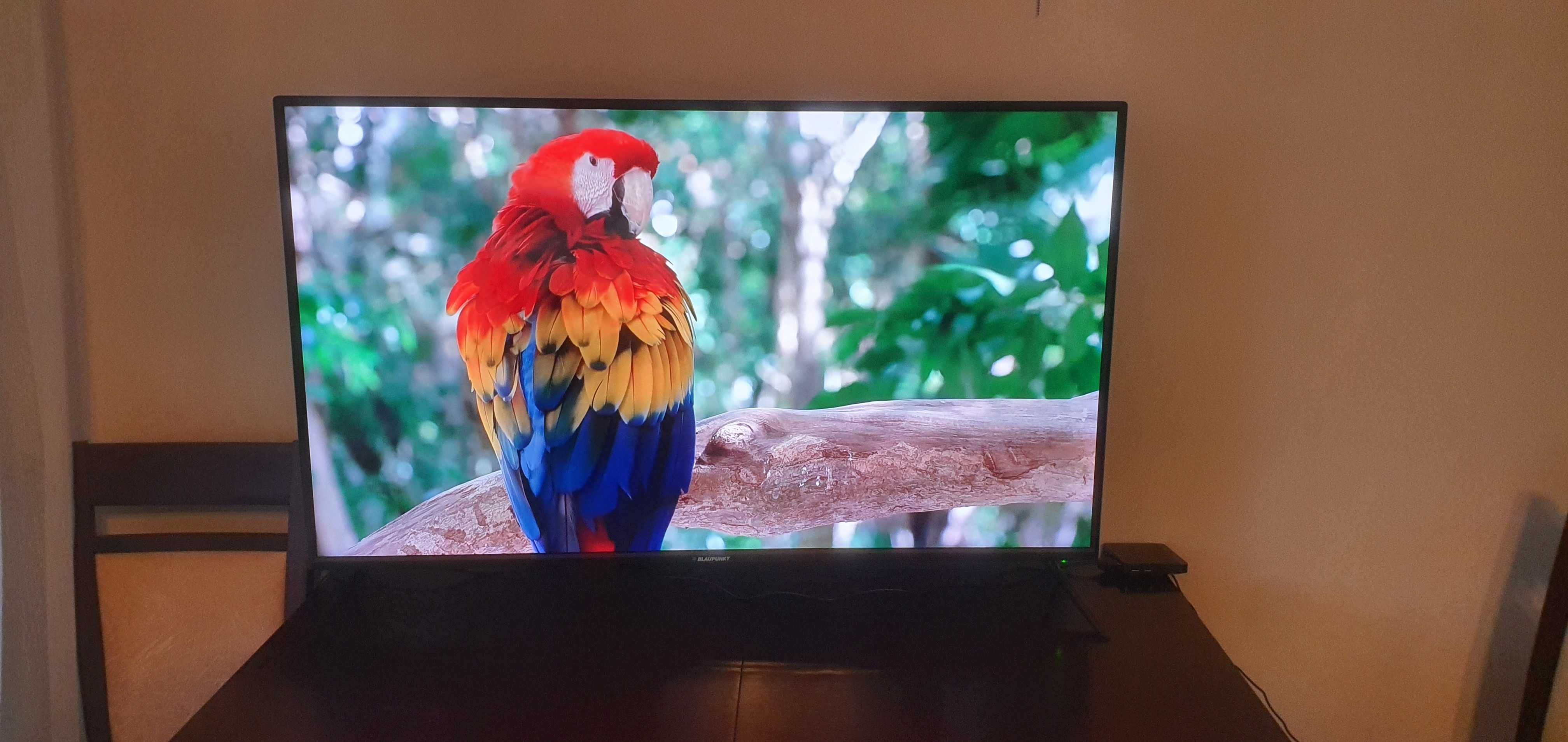 Telewizor 50' Blaupunkt 4k Android TV Ultra HD