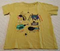 Koszulka, krótki rękaw, T-shirt, owady, pająki, 104, Smyk (Odzież)