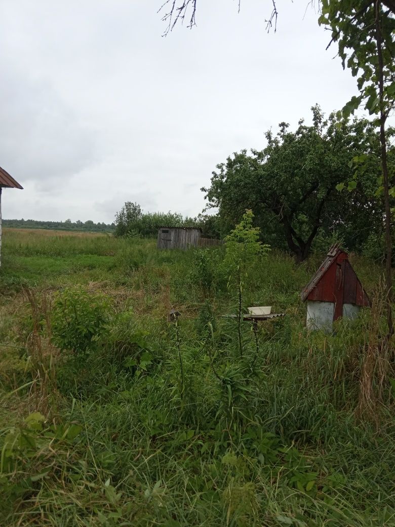 Дача за містом без сусідів