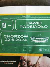 Bilety na koncert Dawida Podsiadło - Chorzów 22.06.2024