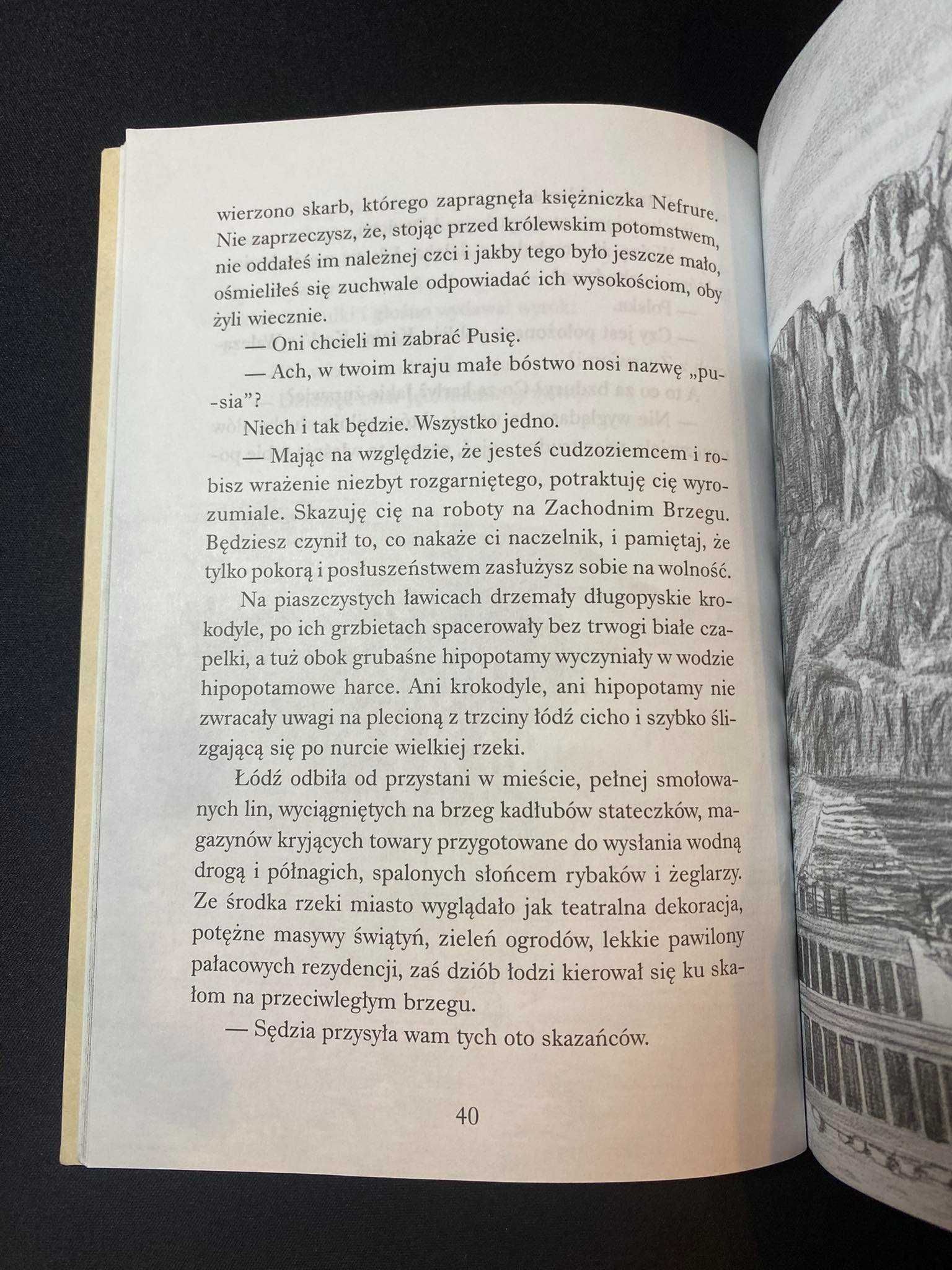 Książka "Byk Apis pozdrawia kotkę Pusię" Ewa Nowacka