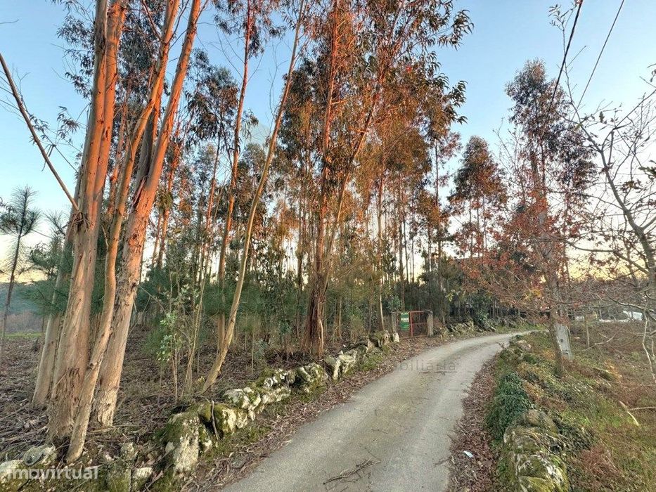 Terreno Urbano p/ Construção - Friastelas - Ponte de Lima