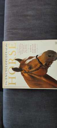Livro de cavalos inglês