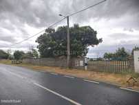 Terreno 1 hectare em Parada, Bragança - Perto de Acessos e Serviços