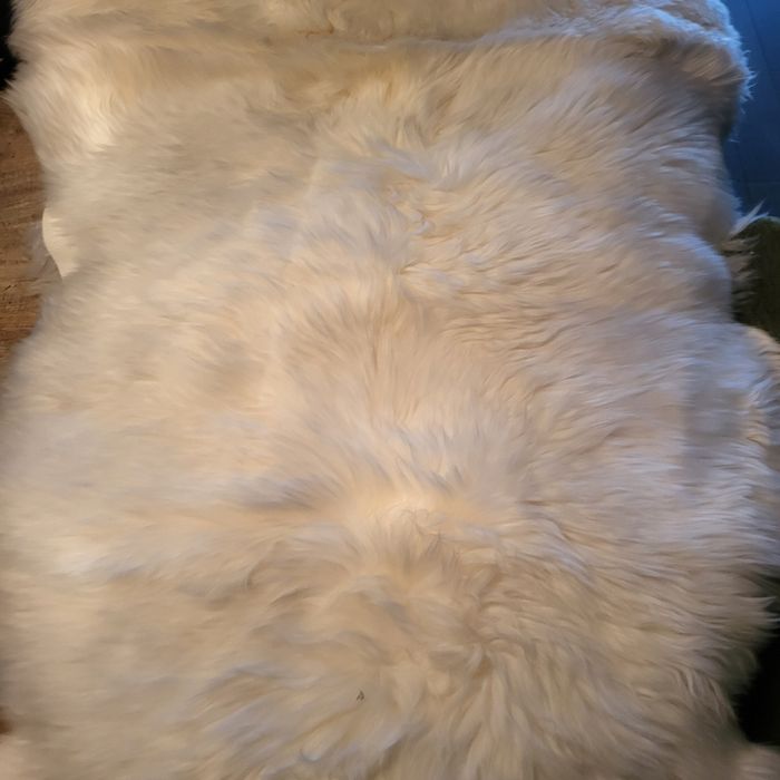 Native naturalna skóra owcza 220x65