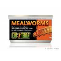 EXO TERRA Mealworms - pokarm w puszce mączniki