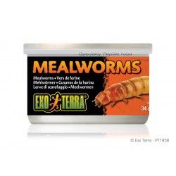 EXO TERRA Mealworms - pokarm w puszce mączniki