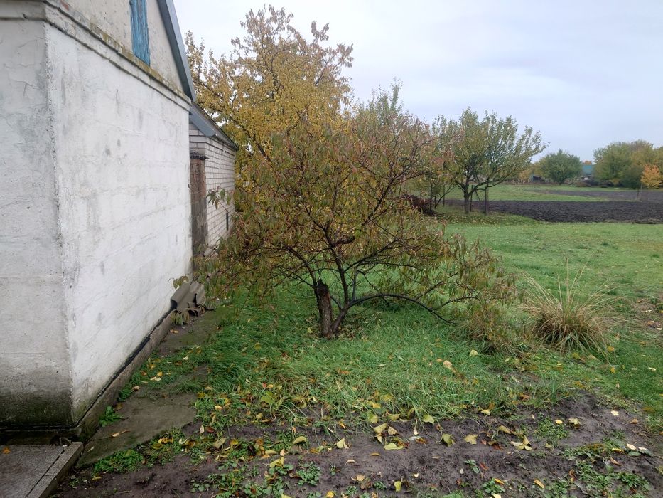 Продам дом в с.Аполлоновка Днепропетровской обл.