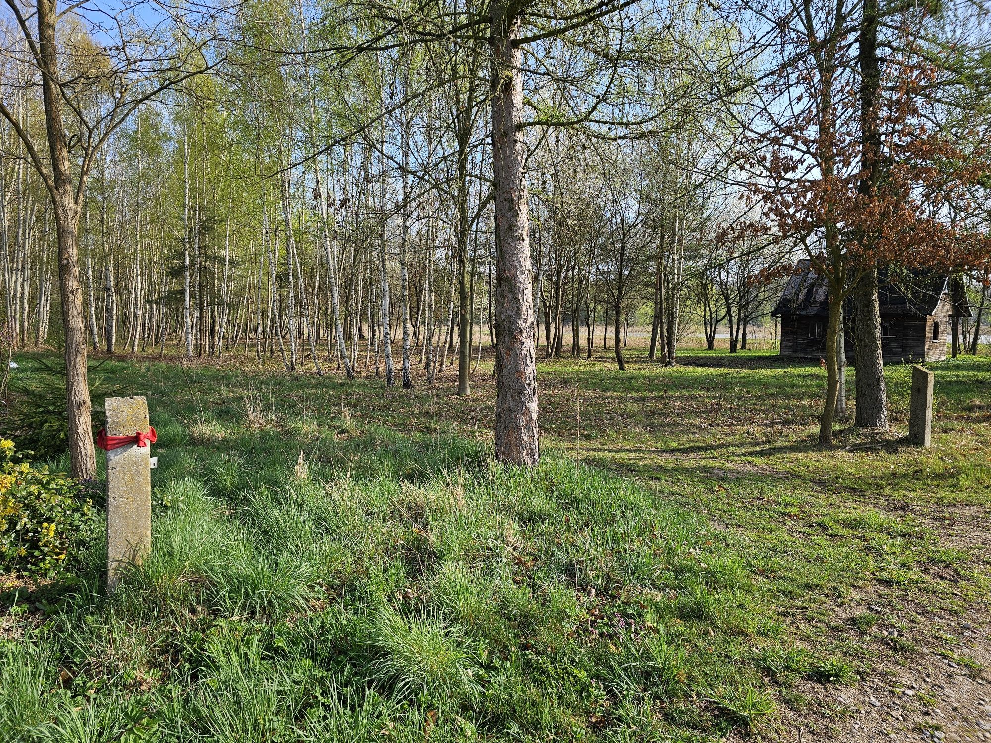 Sprzedam działkę Kaczków z WZ , 50km W-wa , 5 km Mszczonów, Okazja