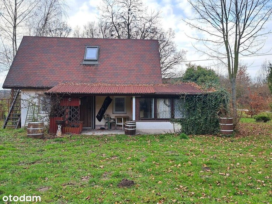 Sprzedam Siedlisko wśród zieleni lasów.