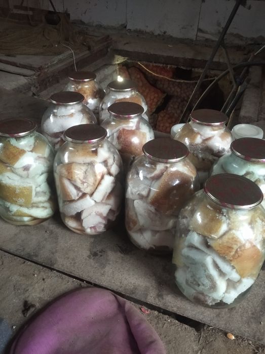 Продам сало в банках.