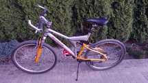 Rower Author Enduro Basic DSX