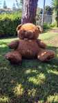 Urso de peluche gigange castanho para decoração