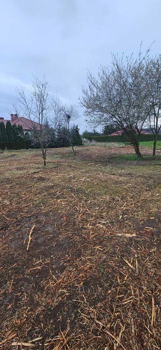 Czyszczenie działek, wycinka drzew,itp…