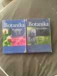 Botanika morfologia i systematyka Szweykowsy
