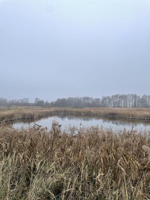Stawy Hodowlane 50 ha - ogrodzone
