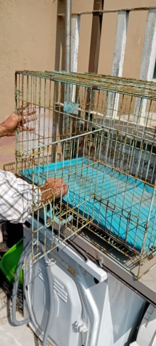 Gaiola grande. Robusta. Usada para papagaio