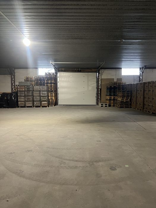Wynajem hal magazynowych  – Możliwość wynajmu od 100m2/ 1200m2