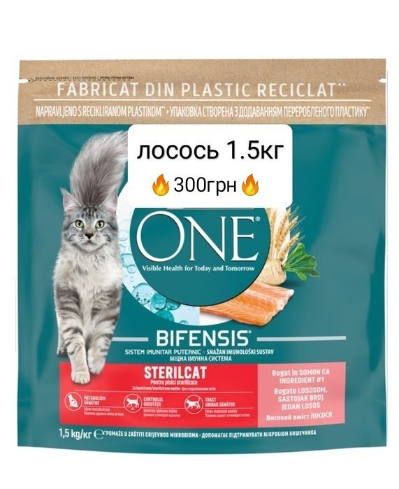 Сухий та вологий корм Кітті Kitty для котів